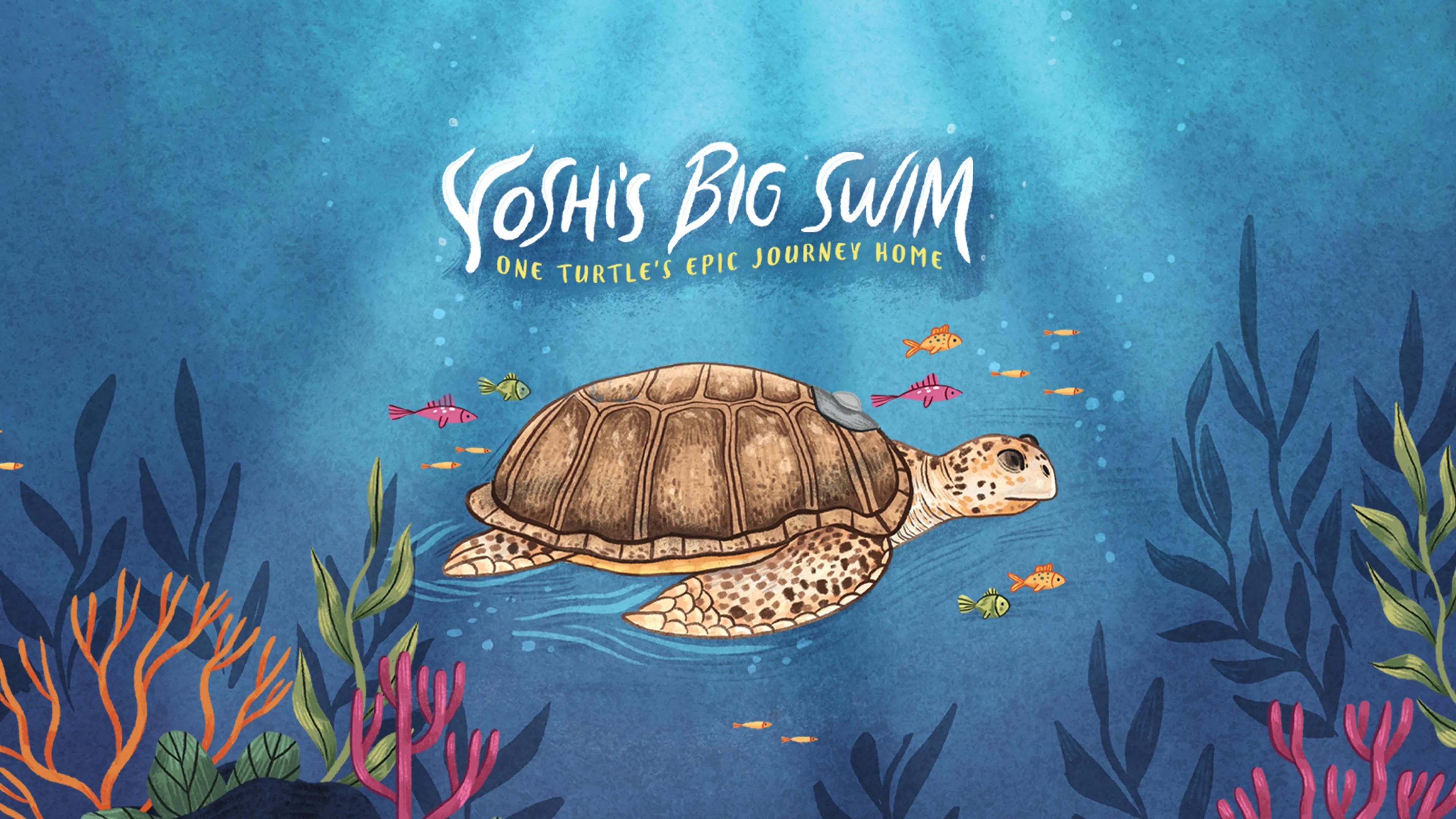 Yoshi's Big Swim: One Turtle's Epic Journey Home poster